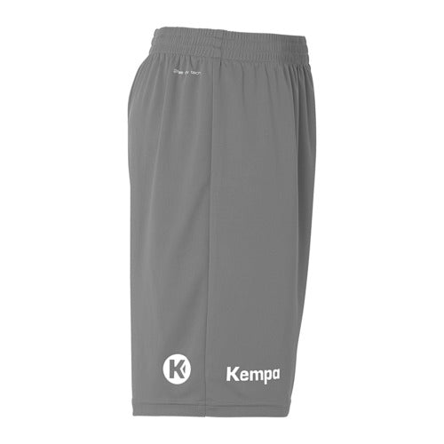 Team Shorts - stone grey