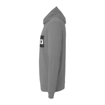 Promo Hoody - stone grey