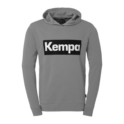 Promo Hoody - stone grey